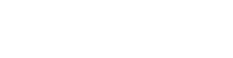 Salt Logo